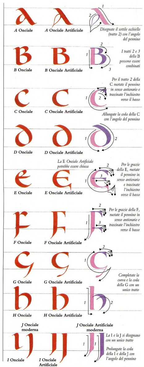 Calligrafie Asdps Armis Et Leo