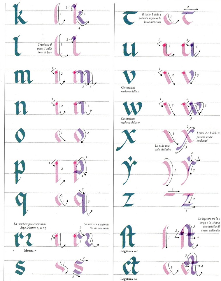 Calligrafie Asdps Armis Et Leo